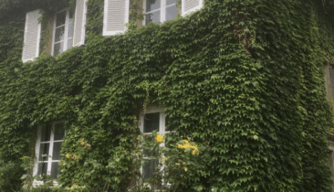 Maison de ville à vendre à Luxembourg-Limpertsberg