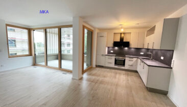 Appartement à louer à Luxembourg-Kirchberg (3.03)