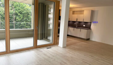 Appartement à louer à Luxembourg-Kirchberg (2.03)