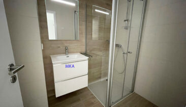 appartement-duplex (dernier étage) à louer à Luxembourg-Limpertsberg