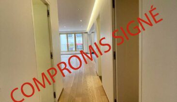 Appartement rénové à vendre au Centre Ville