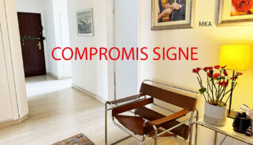 Appartement avec emplacements intérieur et extérieur à vendre à Luxembourg-Merl