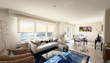 Appartement avec emplacement parking  à vendre à Luxembourg-Gasperich