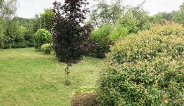 Maison de village à louer à Keispelt