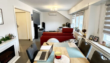 Appartement meublé à louer à Luxembourg-Merl