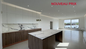 Appartement/penthouse en retrait avec grandes terrasses et 2 emplacements parking à vendre à Steinfort