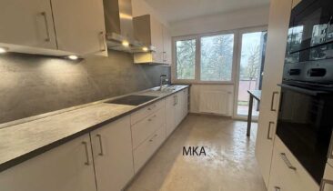 Appartement rénové avec emplacement parking à louer à Luxembourg-Kirchberg (rue des Maraîchers)