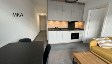 Appartement (neuf) meublé et équipé à louer à Luxembourg-Belair (en face du CHL)