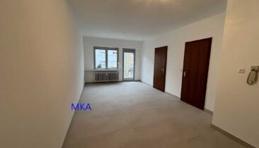 Appartement rénové avec une chambre à louer à Luxembourg-Merl