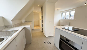 Duplex neuf à louer à Luxembourg-Belair
