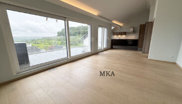 Duplex avec garage à louer à Hostert (Niederanven)