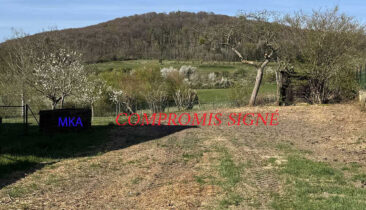 Terrain à construire pour maison libre des 4 côtés à vendre à Mensdorf (Commune de Betzdorf)