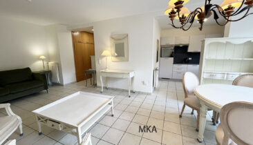 Studio meublé et équipé avec terrasse et emplacement parking extérieur à louer à Bertrange