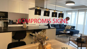 Appartement lumineux  avec 2 emplacements parking intérieurs à vendre à Schifflange