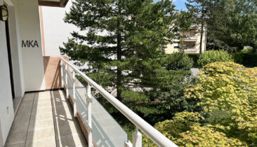 Appartement à vendre à Luxembourg-Limpertsberg