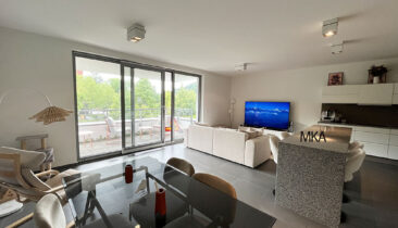 Appartement lumineux avec terrasse et emplacement parking à louer à Luxembourg-Dommeldange