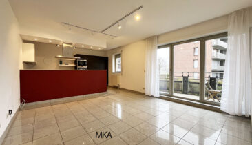 Appartement avec terrasse avec emplacement parking intérieur à vendre à Luxembourg-Kirchberg (Domaine Avalon)