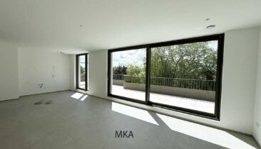 duplex dans une maison bifamiliale en état futur d'achèvement à vendre à Strassen (3)