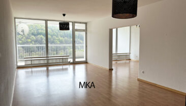 Appartement à louer à Luxembourg-Dommeldange