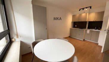 Appartement meublé et équipé à louer au Centre-Ville