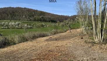 Terrain à construire pour maison libre des 4 côtés à vendre à Mensdorf (Commune de Betzdorf)