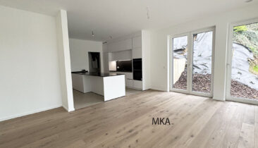 Appartement (No2) à louer à Luxembourg-Kirchberg