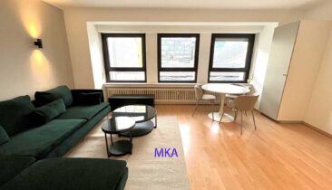 Appartement meublé et équipé à louer au Centre-Ville