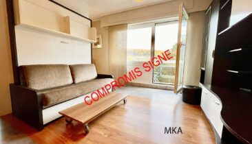 Studio meublé  avec garage à vendre à Beggen