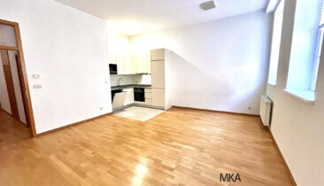Appartement à louer à Luxembourg-Centre (rue du Nord)