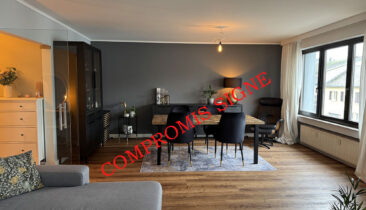 Appartement avec garage fermé à vendre à Sandweiler