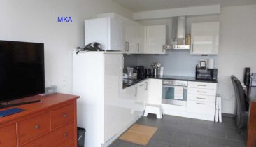 Appartement à louer à Luxembourg-Eich