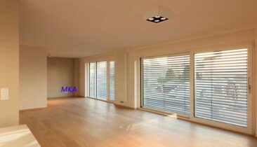 Appartement (AI) dans la Résidence Marie à louer à Luxembourg-Merl (rue de Vianden)