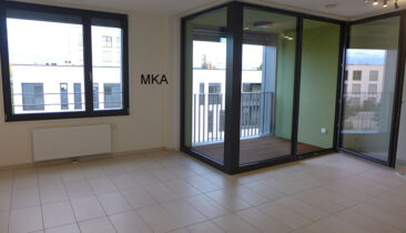 Appartement avec 2 emplacements parkings intérieurs à louer à Belvaux